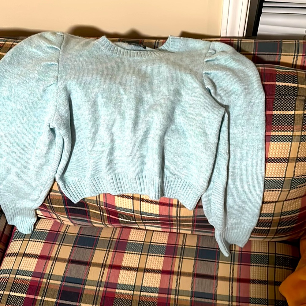 Sweater crop